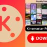 Kinemaster Pro Mod Apk v4 15.9 17782 gp No Watermark