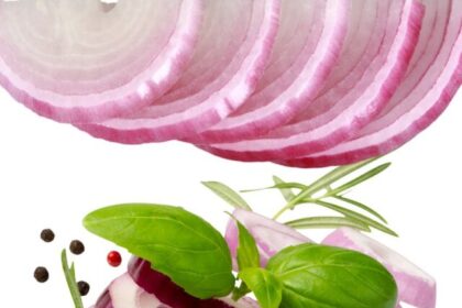 Benefits of Eating 1 Raw Onion Daily